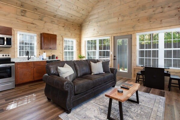 TV, fireplace, video games, offices