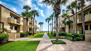 A pathway lined with palm trees leading to a building with balconies.