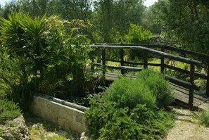 Property grounds - Masseria Nova (l'Antica Masseria) - La casetta (Maruggio)