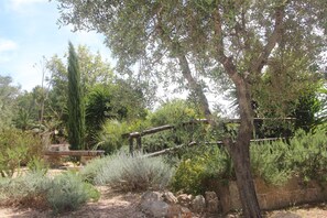 Property grounds - Masseria Nova (l'Antica Masseria) - La casetta (Maruggio)