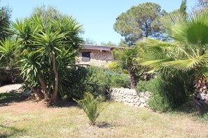 Property grounds - Masseria Nova (l'Antica Masseria) - La casetta (Maruggio)