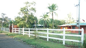 A rural road with a white fence, palm trees, and a building with a red roof. - Don Beto House (Provincia de Puntarenas)