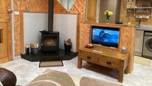 Una sala de estar acogedora con chimenea, televisor y mueble de madera.