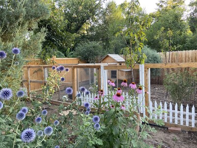 Old Town Treasure - Best location for a 30 day stay!