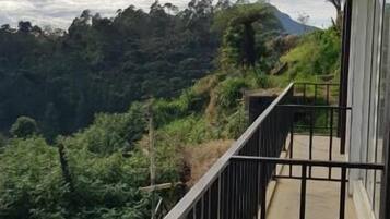 Panoramic Double Room | Balcony view