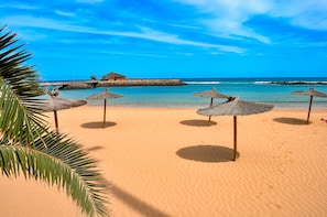 A beach with thatched umbrellas, a palm tree, and a small building by the water. - Villa "Chocolate" (Antigua)