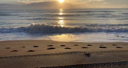 Flamingo 🦩 PRIVATE HEATED POOL House: Short Drive to St Augustine, Daytona Beach