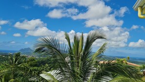 Vista de un paisaje costero con palmeras y cielo despejado.