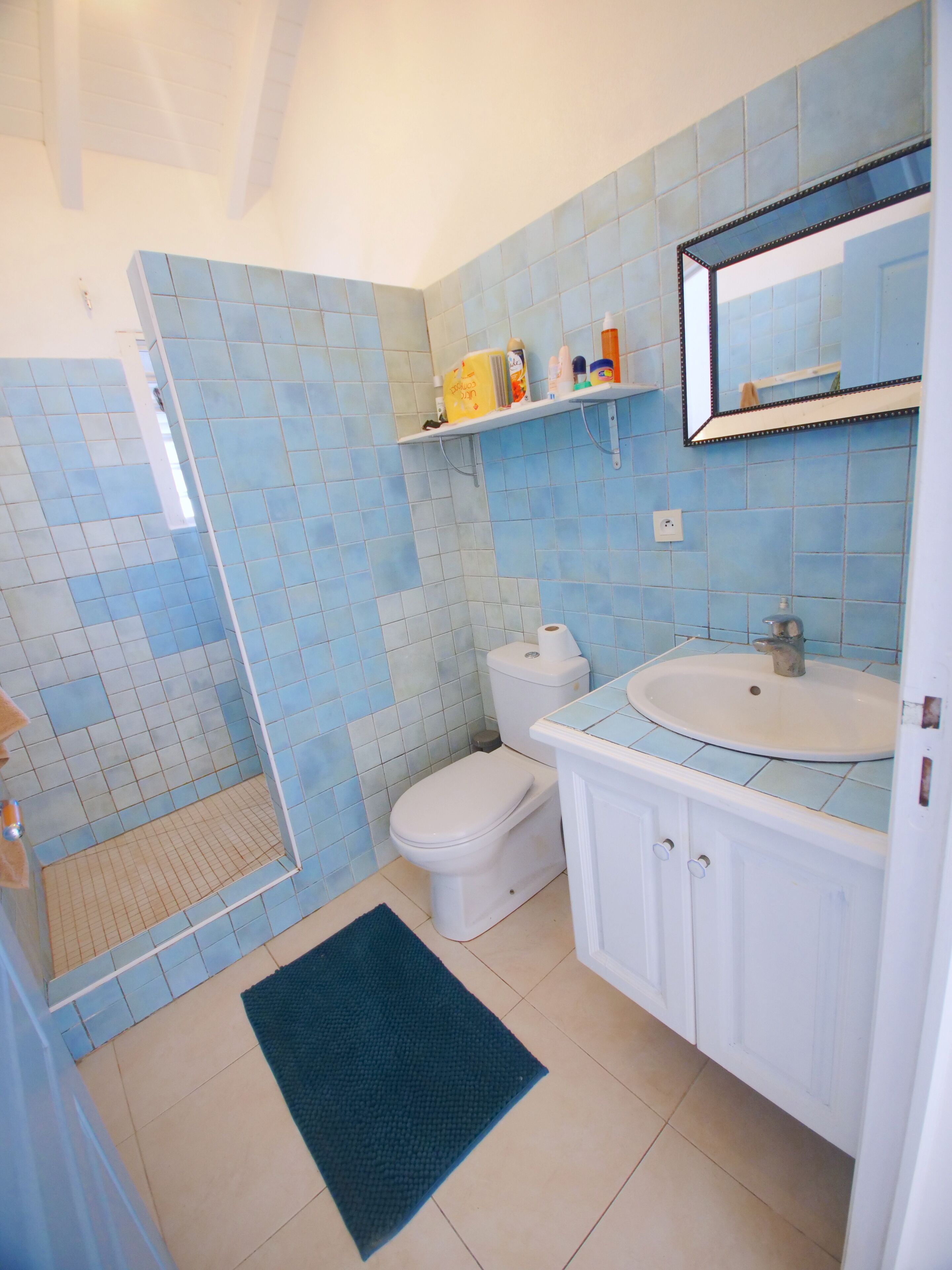 Un bagno con doccia, WC, lavandino e specchio.