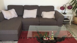 Una sala de estar con un sofá gris, una mesa de centro de cristal con una planta y una alfombra roja.