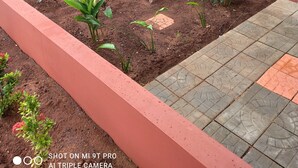 A garden area with various plants and a tiled pathway.