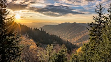 Estúdio (1 Bedroom) | Comodidades da propriedade