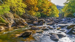 Studio (1 Bedroom) | Property amenity - Macys Hideaway by Jackson Mountain Rentals (Sevierville)
