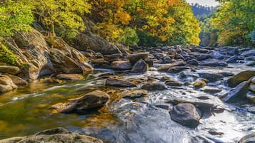 Servicio de la propiedad