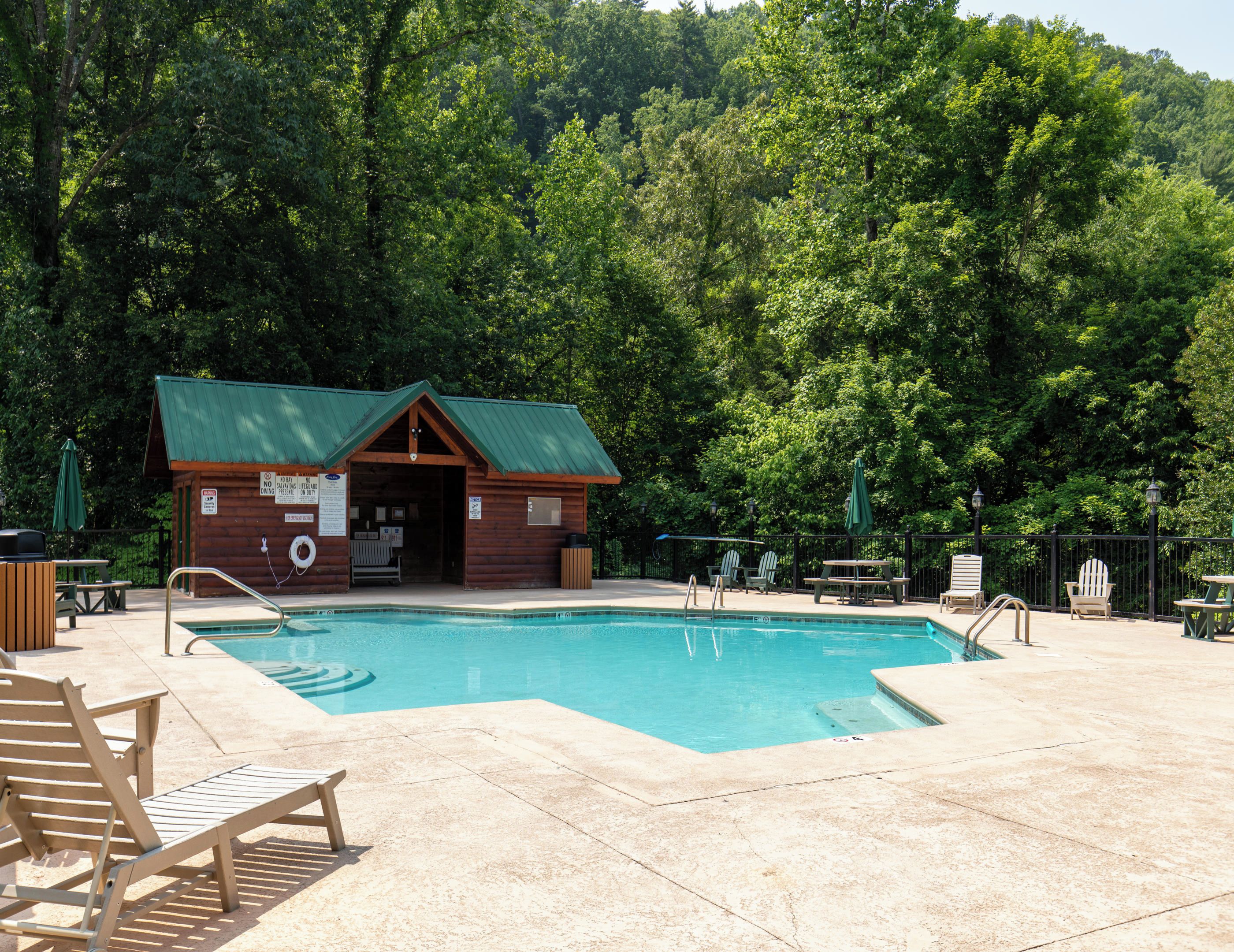 A swimming pool with lounge chairs and a wooden cabin in a forested area.