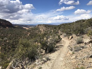 Miscellaneous - Morning Coffee with the quail.  Great views, excellent trails, and work friendly (Grand Junction)