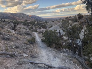 Exterior - Morning Coffee with the quail. Great views, excellent trails, and work friendly (Grand Junction)