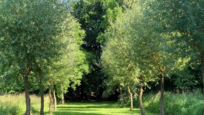 A pathway flanked by trees in a park. - Country house nestled in a green setting 15 minutes from Lille (Sainghin-en-Mélantois)