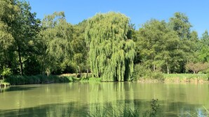 A tranquil pond surrounded by lush greenery and trees. - Country house nestled in a green setting 15 minutes from Lille (Sainghin-en-Mélantois)
