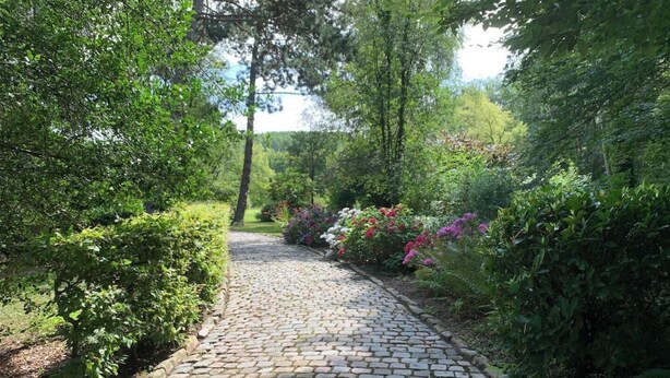 A cobblestone pathway in a lush garden with dense foliage and flowering plants. - Country house nestled in a green setting 15 minutes from Lille (Sainghin-en-Mélantois)