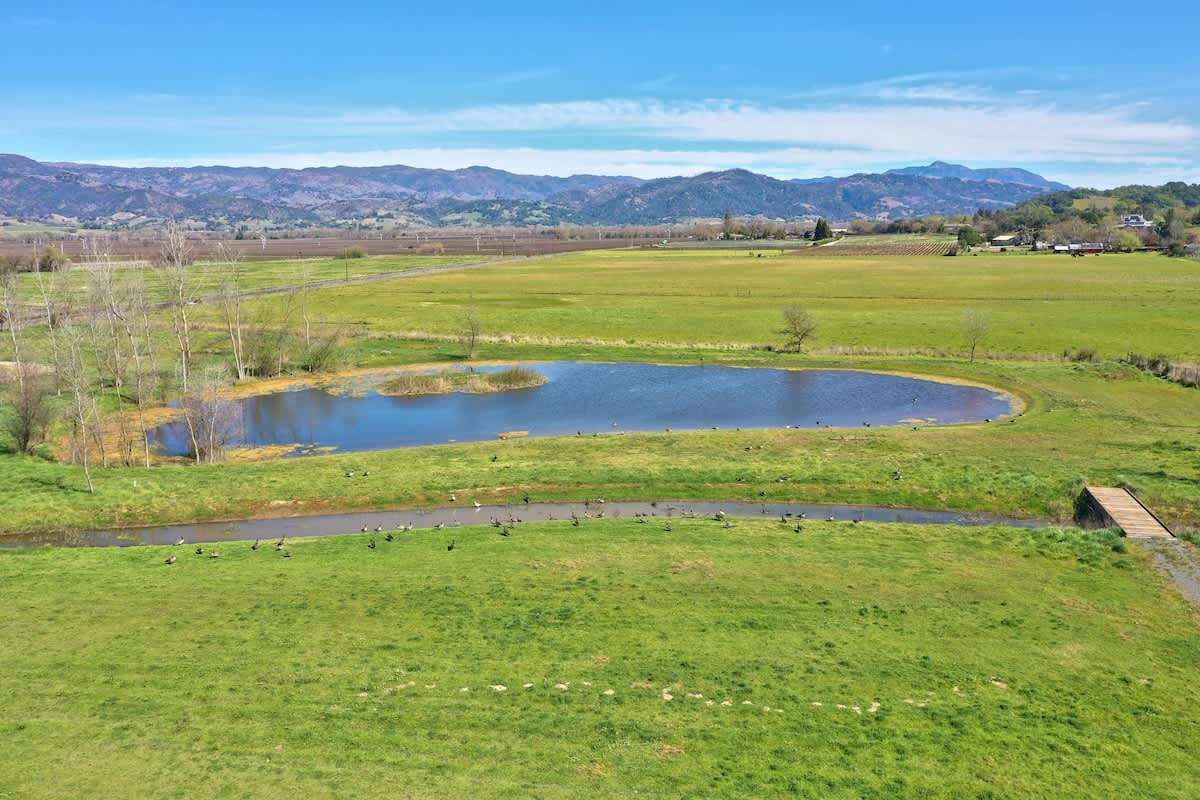 A rural landscape with a pond, grassy fields, and mountains in the background.