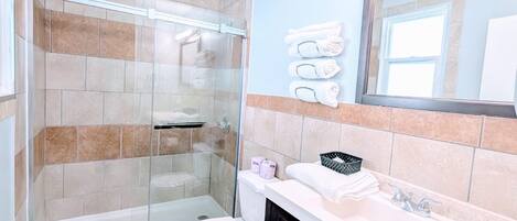 A modern bathroom with a glass-enclosed shower, a toilet, a sink with a vanity, and a mirror.