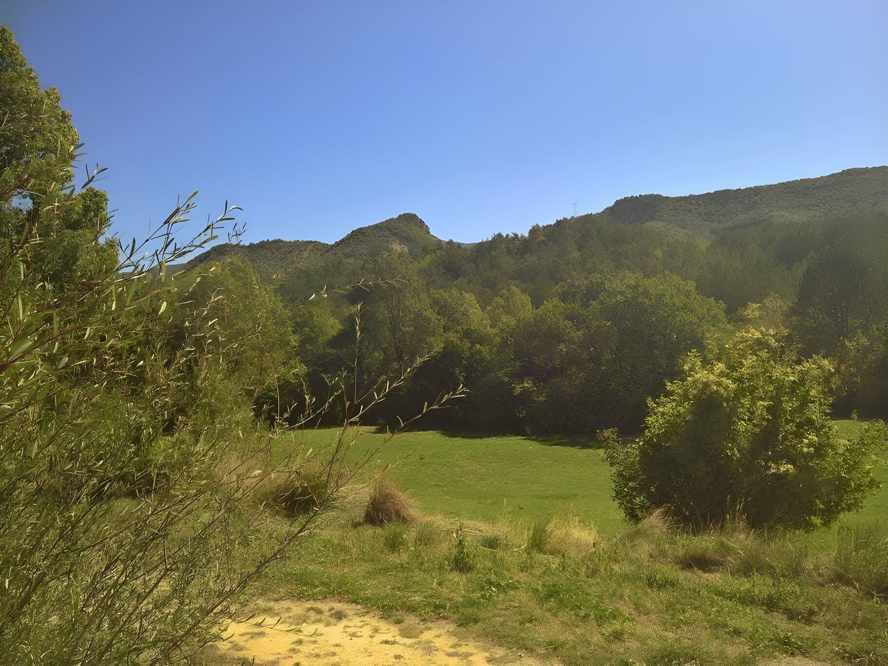 Eine natürliche Landschaft mit Wiesen, Bäumen und Hügeln.