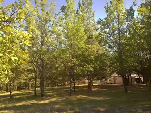 A wooded area with trees and a building in the background.