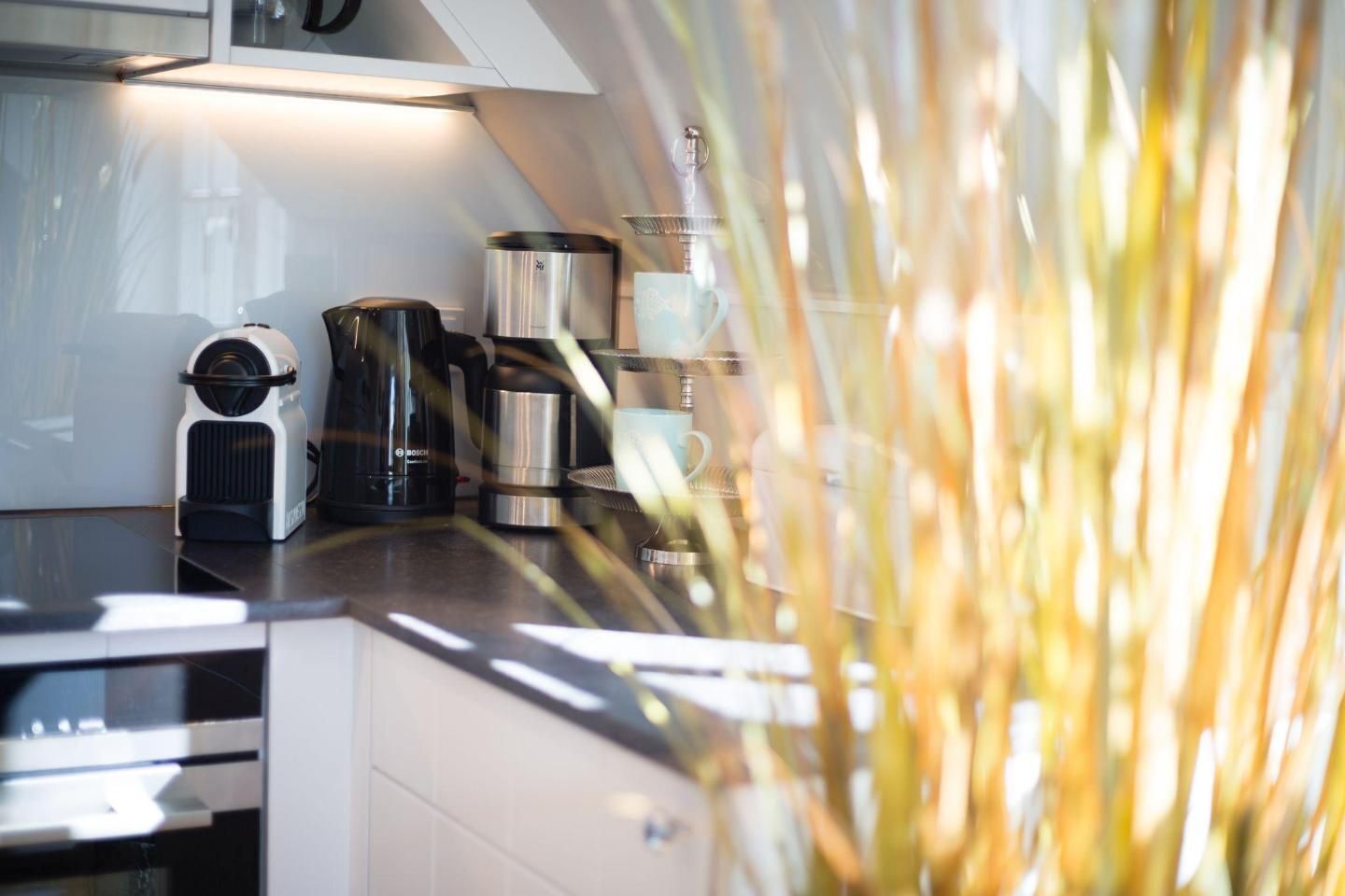 Een koelkast, een oven, een kookplaat, een vaatwasser