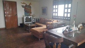 Smart-TV, Kamin