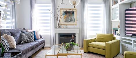 Smart TV, fireplace, books