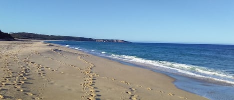 On the beach