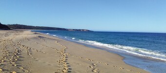 Beachfront Beauty