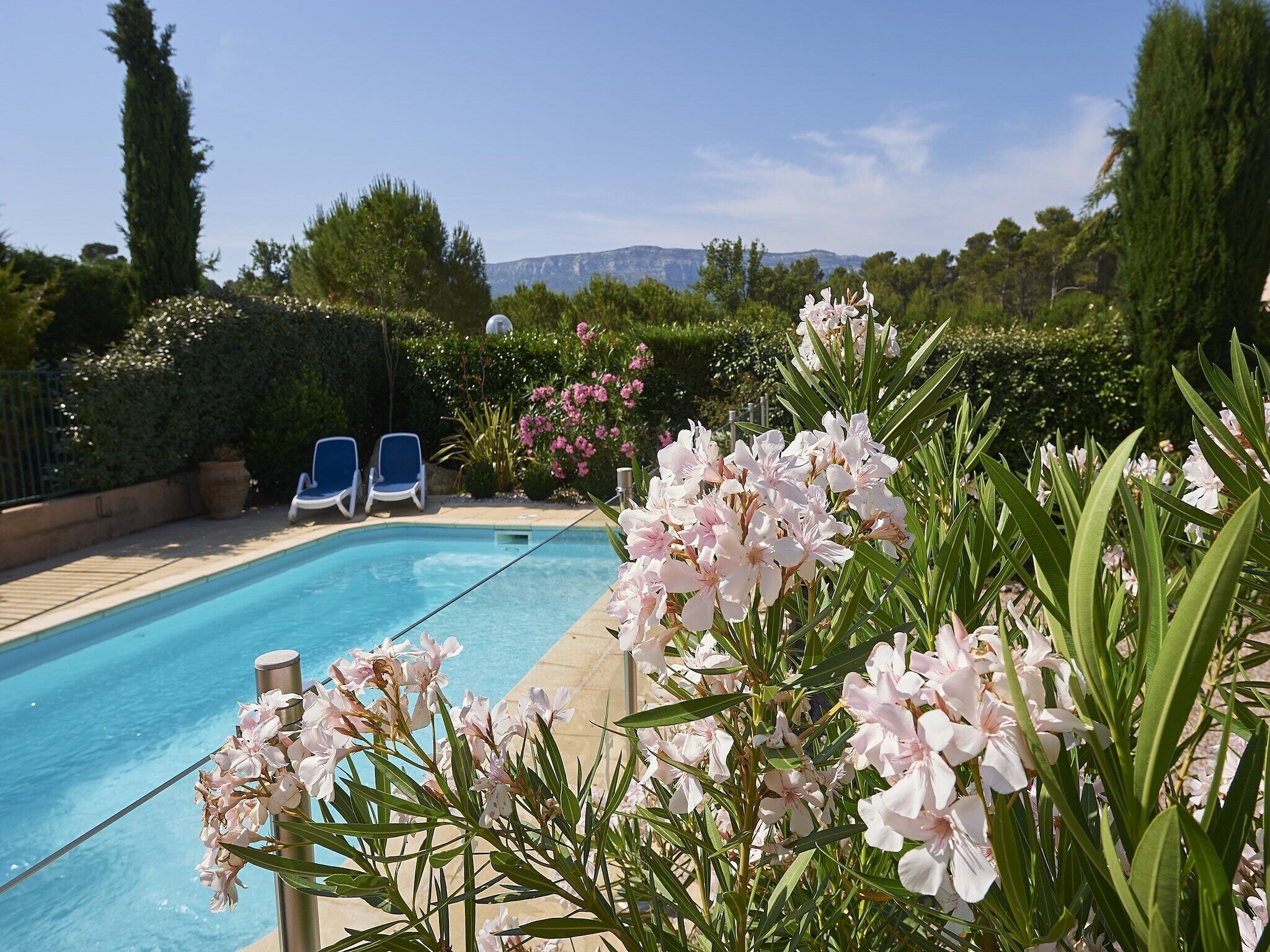 Une piscine bordée de deux chaises longues, entourée d’une végétation luxuriante et de plantes en fleurs.