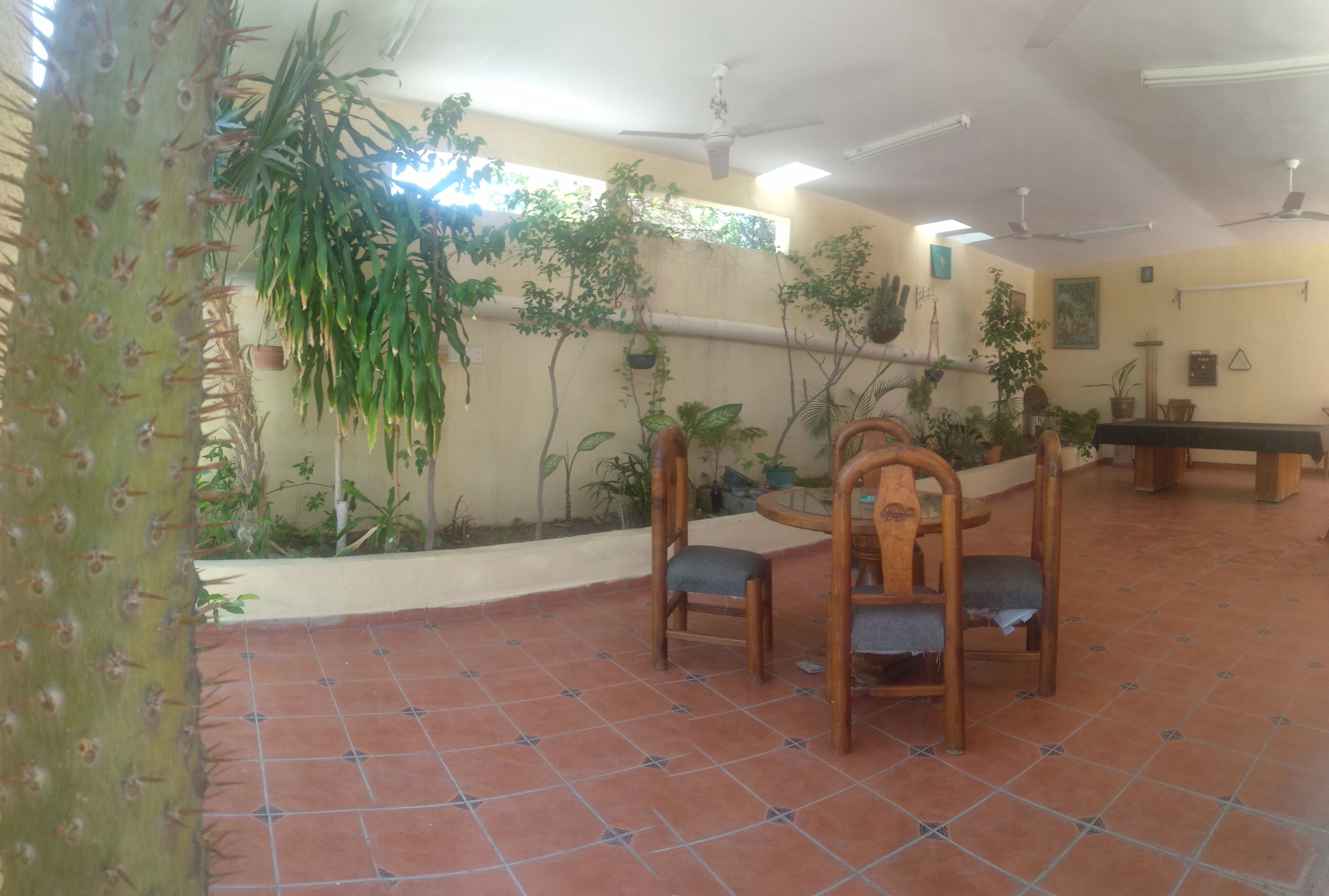 Dormitorio compartido, 1 habitación, para fumadores | Terraza o patio