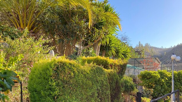 Unclassified image, 1 of 47, button - Cottage With 3 Bedrooms, 2 Bathrooms, Heated Solar Pool, Sauna, Jacuzzi, Garden (Guia de Isora)