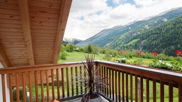Deluxe Apartment, Private Bathroom, Mountain View (Top 7) | View from property