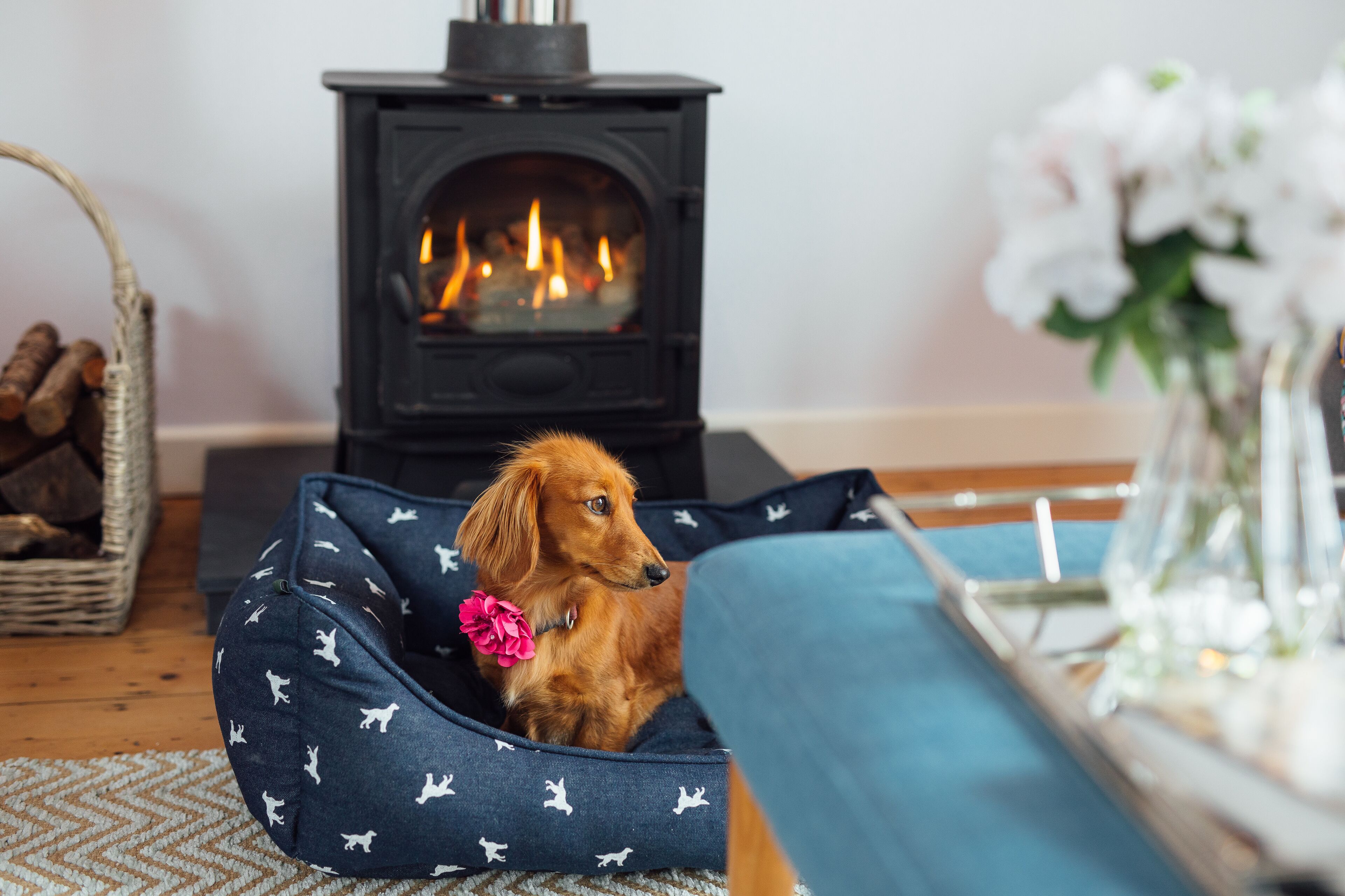 the shores self catering apartment | living area | 43-inch smart tv with digital channels, tv