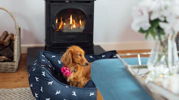 A dog bed with a pattern, a fireplace, and a vase with flowers.