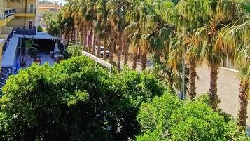 Neljän hengen classic-huone | Terassi/patio