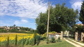 Un paysage rural avec un champ de fleurs jaunes, un mur de pierres et un portail en métal.