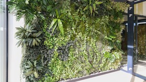 Un jardin vertical composé de différentes plantes et d’un mur recouvert de mousse.