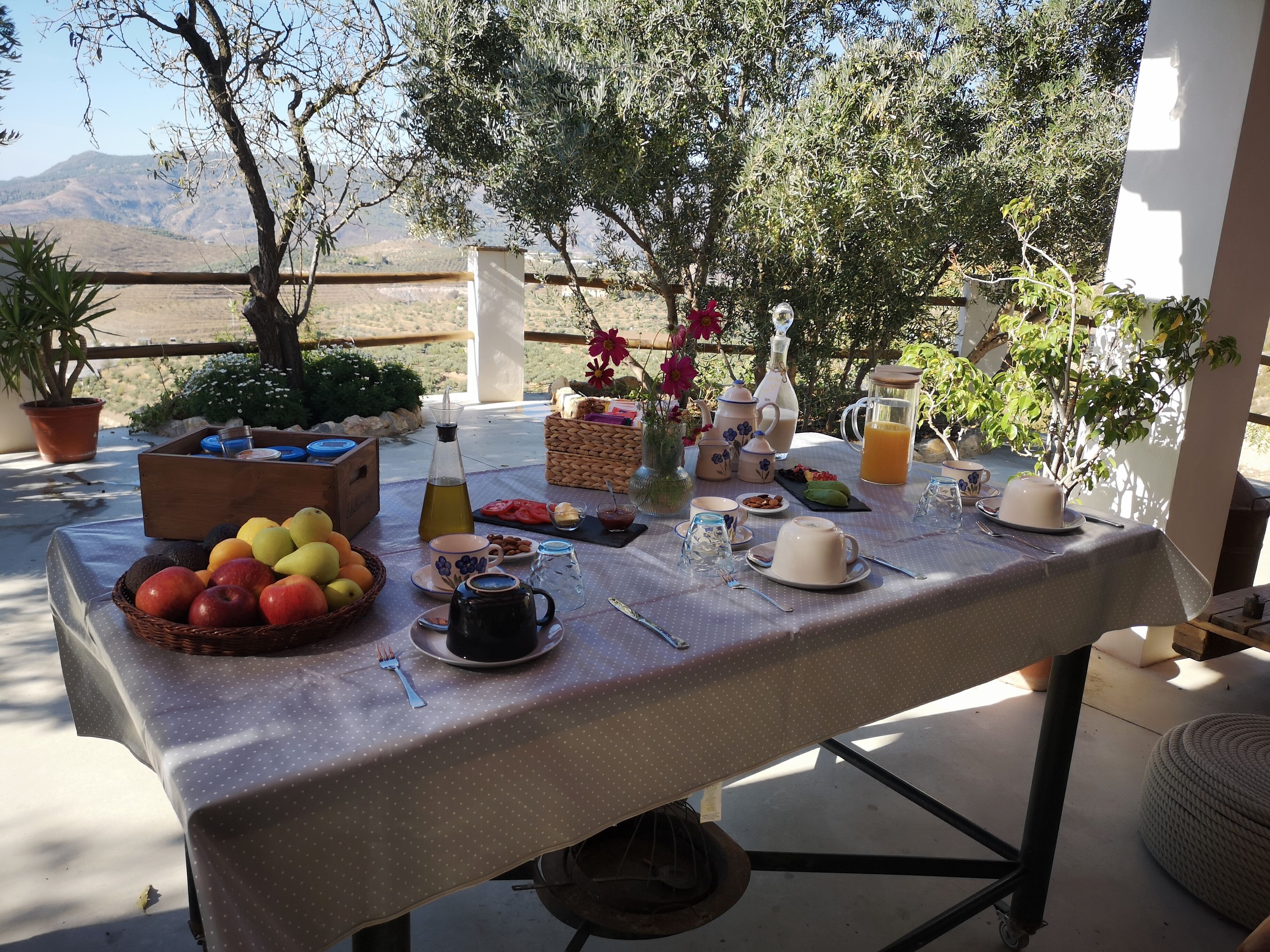 An outdoor dining table with a variety of food and drinks, surrounded by potted plants and a scenic view.