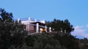 Une maison moderne dotée d’un toit plat, entourée d’une végétation luxuriante.