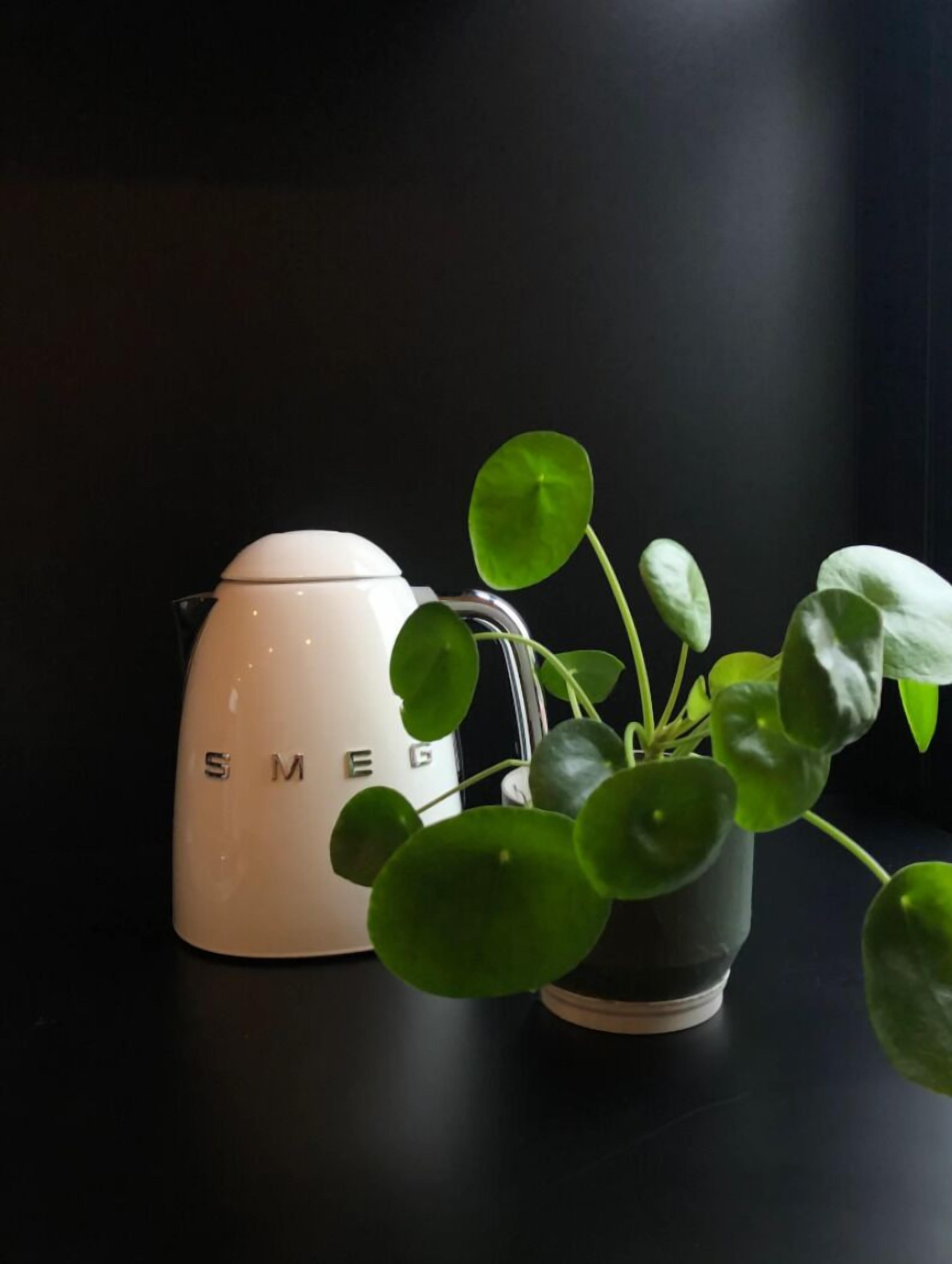 Simple and Convenient Alexandria/Eveleigh