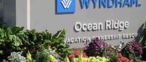 Welcome to Wyndham Ocean Ridge, where lush landscaping surrounds the resort entrance.