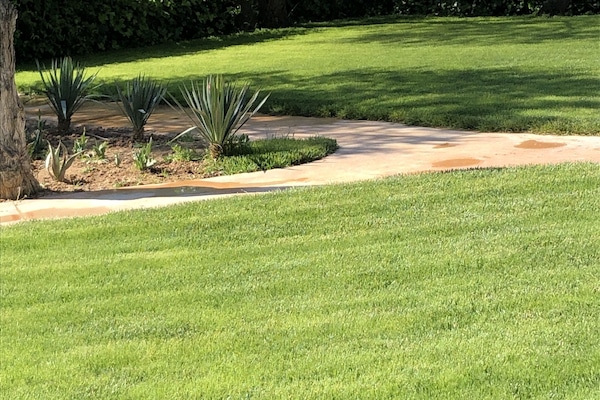 Àrea exterior de l'allotjament