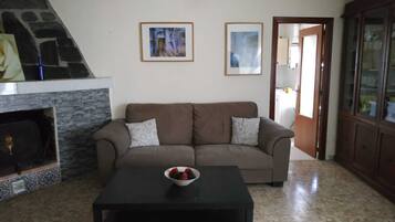 Televisie, een open haard, een tafeltennistafel en boeken