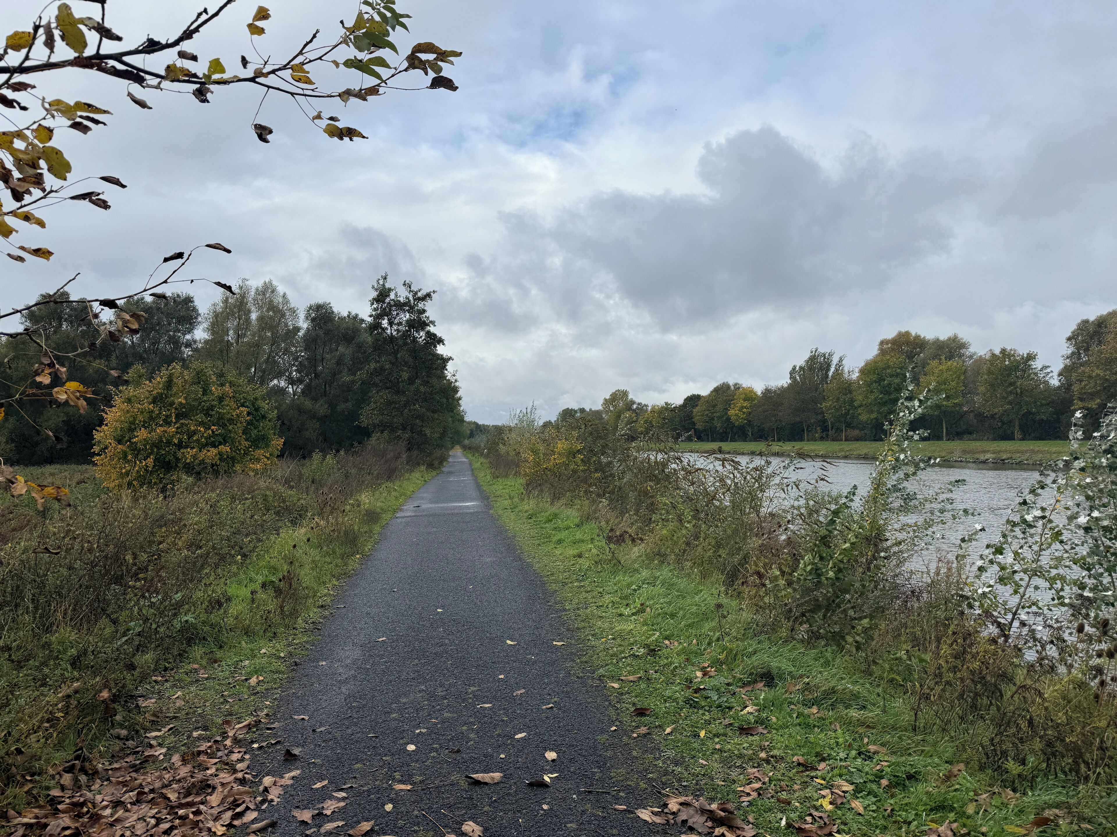 Een verhard pad, omzoomd door bomen en struiken, dat naar een waterpartij leidt.
