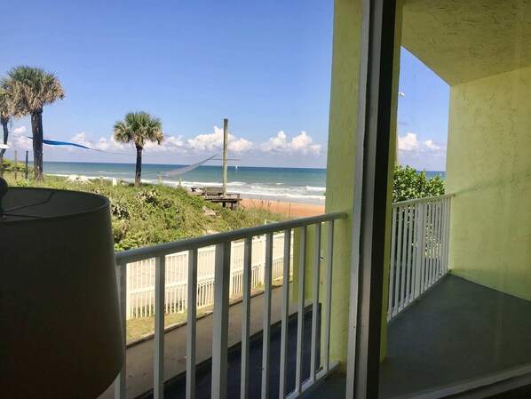 Property grounds - Coastal Sands - Ocean View at Symphony Beach Club! (Ormond Beach)